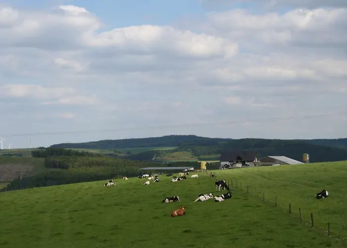 Location Panoramagreen