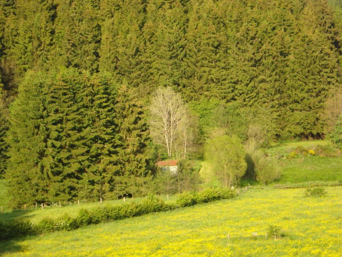 Apartment Location Panoramagreen *